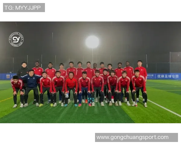 上海足球队实力揭秘：从战术到球员的全面分析与展望